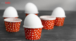 تخم مرغ گرید B تلاونگ بسته 15 عددی